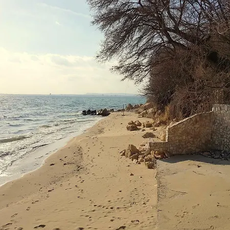 Alex Beach Sveti Vlas